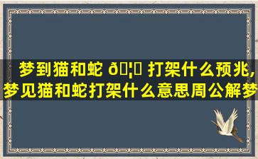 梦到猫和蛇 🦍 打架什么预兆,梦见猫和蛇打架什么意思周公解梦